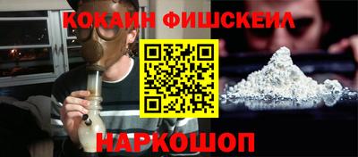 шишки Дубна