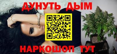 шишки Дубна