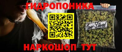 шишки Дубна