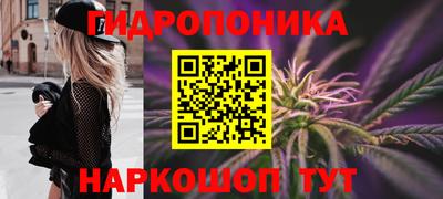 шишки Дубна