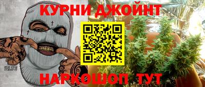 шишки Дубна