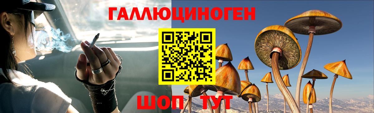 Псилоцибиновые грибы Cubensis  Вход с VPN  Псилоцибиновые грибы Psilocybe  Минусинск 